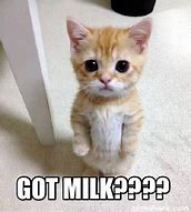 Image result for You Got Milk Meme