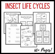 Image result for Insect Life Cycle Books