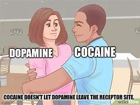Image result for Dopamine Meme