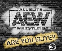 Image result for All Elite Wrestling No Background