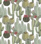 Image result for Desert Cactus 🚆
