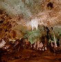 Image result for Carlsbad Caverns Bat Flight