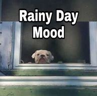 Image result for Rainy Day Memes Funny