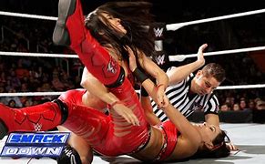 Image result for AJ Lee and Brie Bella