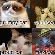 Image result for Mexican Cat Meme