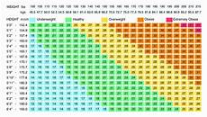 How To Calculate Your Bmi Scouterlife