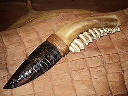 Image result for Jaw Bone Handle Knives