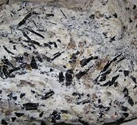 Image result for Black and White Speckled Granite