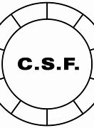Image result for SA CFS Badge