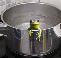 Image result for Boiling Water Meme