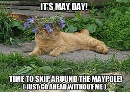Image result for May Jokes and Quotes