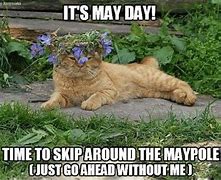 Image result for Funny Memes About May