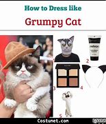 Image result for Grumpy Cat Costume