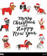 Image result for Happy New Year Animal Funny Dogs