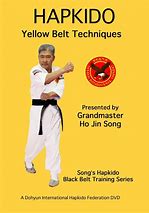 Image result for Hapkido Graphic