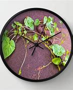 Image result for Vine Wall Clock