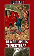 Image result for 20101 Funny Apple