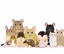 Image result for Multiple Mice Clip Art