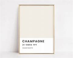 Image result for Champagne Mist Pantone