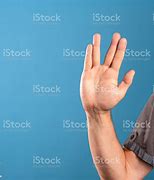Image result for Vulcan Salute