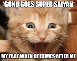 Image result for OH My Gosh Cat Memes