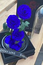 Image result for Forever Rose Blue