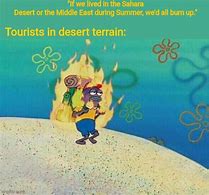 Image result for Desert Heat Meme