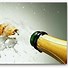 Image result for Champagne Brands