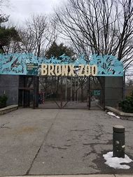 Image result for Zoo in Bronx