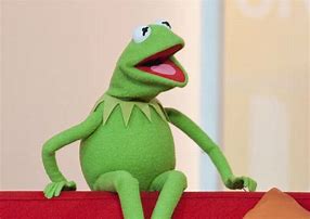 Image result for Funny Kermit Photos
