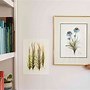 Image result for Hanging Posters On Wall Clips