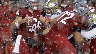 Image result for Jim Moore Apple Cup