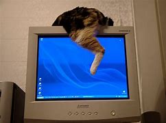 Image result for Our Old CRT Widescreen TV