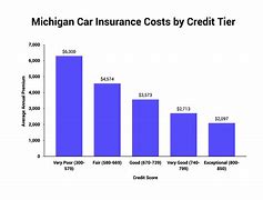Image result for Low Cost Auto Insurance Michigan