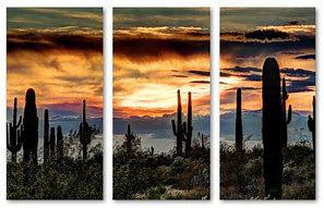 Image result for Sonoran Desert Canvas