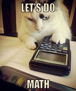 Image result for Cat Doing Math Meme