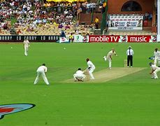 Image result for Cricket Photography
