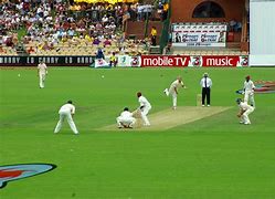 Image result for Cricket Photography Free