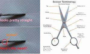 Image result for Pivot Point On Scissors