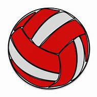 Image result for White Volleyball