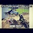 Image result for BMX Memes