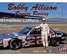 Image result for Bobby Allison Pontiac LeMans