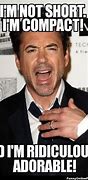 Image result for Robert Downey Jr There Are Meme