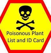 Image result for Most Poisonous Tree