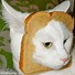 Image result for Get This Bread Meme
