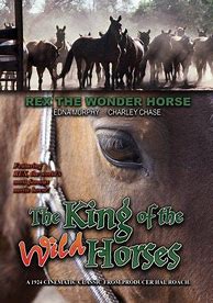 Image result for Horse Rode DVD