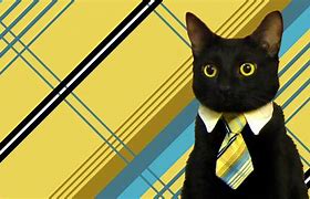 Image result for Cat Meme Small Business