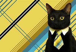 Image result for Best Business Cat Meme