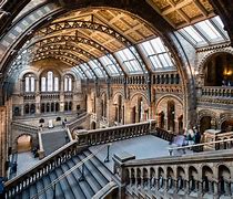 Image result for museu