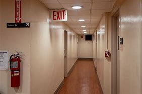 Image result for Emergency Exit Door Light